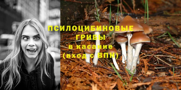 Альфа ПВП Вязьма