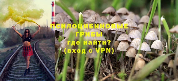 Альфа ПВП Вязьма