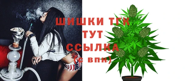 Альфа ПВП Вязьма