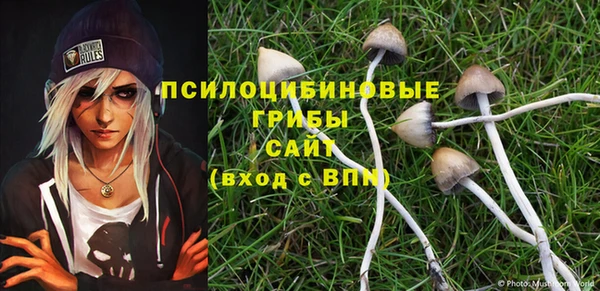 Альфа ПВП Вязьма