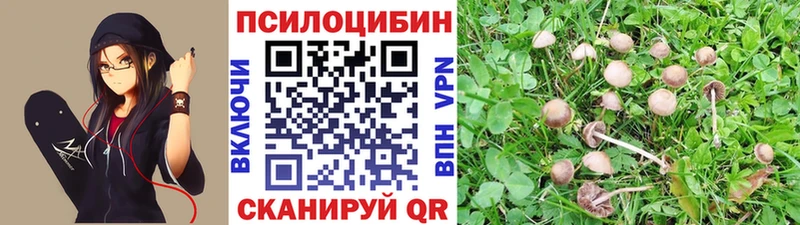 Купить закладки  Чапаевск  Псилоцибиновые грибы мухоморы 